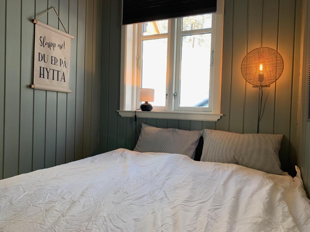 Lemonsjøen-Jotunheimen-Besseggen Villa Stuttgongfossen Eksteriør bilde