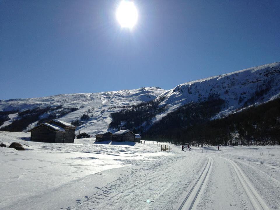 Lemonsjøen-Jotunheimen-Besseggen Villa Stuttgongfossen Eksteriør bilde
