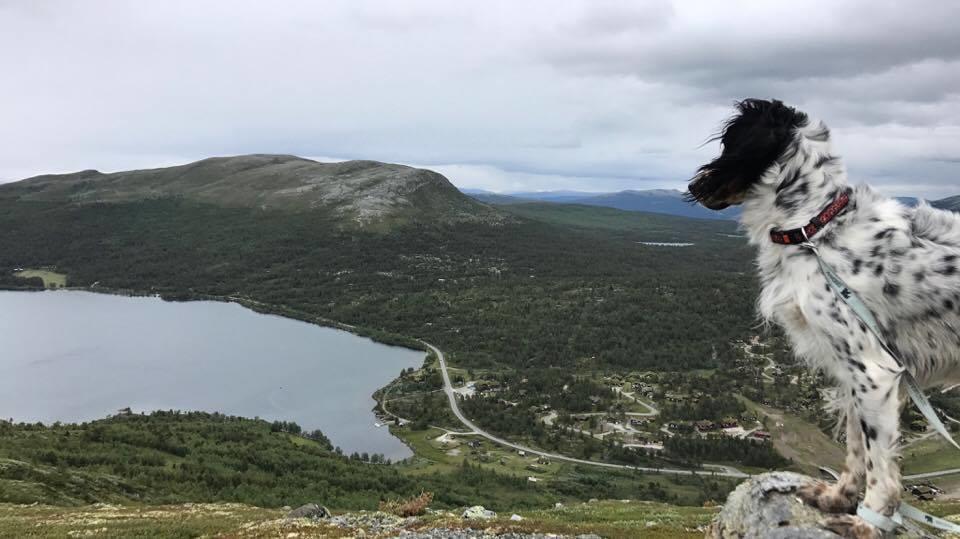 Lemonsjøen-Jotunheimen-Besseggen Villa Stuttgongfossen Eksteriør bilde